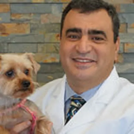 Dr. Adel Matta, DVM